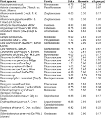 Image result for Trachyphrynium braunianum