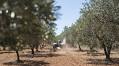 Over 300 Million Euros Allocated for Agricultural Modernization and Generational Renewal in Spain