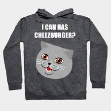Image result for i can has cheezburger