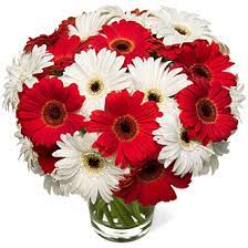 Red Gerbera Daisy Wedding Decorations Central Park Wedding Get Married In Nyc Winter Red Bouquet Wedding Red Wedding Flowers Bouquet Flower Bouquet Wedding
