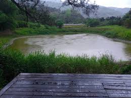 Manage your video collection and share your thoughts. æ—¥é ­èµ¤ç„°ç„°å—é«˜å±å±±å€å°é›¨æ°´åº«é€²å¸³æœ‰é™ Khaohot Pro