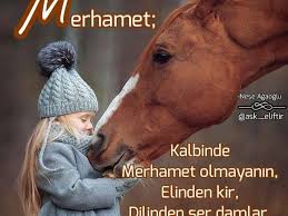 Ayet Hadis Dua En Guzel Ozlu Sozler Ibretlik Hikayeler Www Insanpsikolojisi Net Insan Psikolojisi Meaningful Words Animals Islam