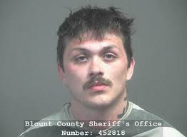 GOODWIN, JAMES WYATT Charges: CRIMINAL TRESPASS This information and more  is available https://apps.myocv.com/share/a95737804