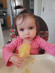 Applesauce and blueberry popsicles! We love the penguin popsicle mold for  Aldi!