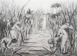 Indentured labour Guyana - Salina Jane Art