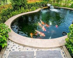 Image of Lining the hole with sand for a preformed pond