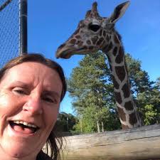 Monopoly Go sticker trading and set completion