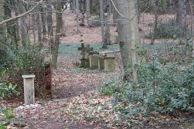 Haller Waldgrabstatten Versteckt Verfallen Und Wirklich Ein Wenig Spooky Friedhofe Halle Westfalen Und Bilder