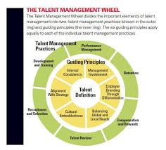 Mitsloan Mgmt Review Mitsmr On Twitter Talent Management Talent Development Management Development