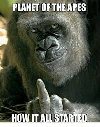 Planet Of The Apes How It All Started Meme On Me Me
