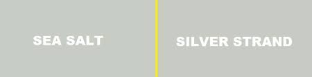 Sherwin williams opulence is cashmere in canadian market. Sherwin Williams Sea Salt Critically Reviewed Must Read Guide