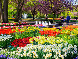 The heritage roses bloom once in early june. 7 Million Bulbs Are Now In Bloom At The World S Largest Flower Garden