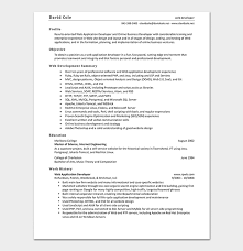 Web Developer Resume Template 15 Sample Resumes Word Pdf Format