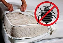 How To Detect Bed Bugs Best Bed Bug Detectors Review 2020