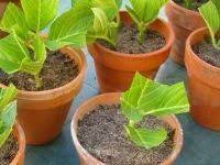 cuisine sur mesure label metal brosse de laetitia c realisation cuisinella cuisinella idee deco cuisine cuisine