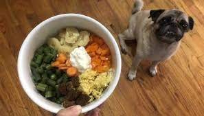 Best dog foods for senior pugs. 17 Best Pug Ideas Homemade Dog Dog Food Recipes Homemade Dog Food