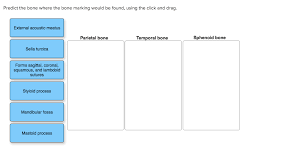 By printing out this quiz and taking it with pen and paper creates for a. If You Are Seeing This Message That Means Javascript Has Been Disabled On Your Browser Please Enable Js To Make This App Work Please Enter A Question First Close Button Camera Button Send Button Loading Getting Image Please Wait Close Sidebar
