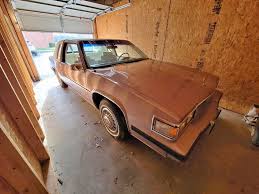 Image result for Heather Firemist 1986 GM