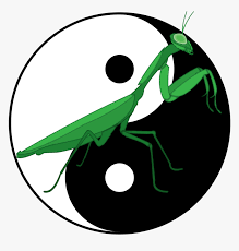 3 of the traditional and rare weapons that we teach as part of the 7 star praying mantis kung. Transparent Mantis Png Praying Mantis Kung Fu Logo Png Download Transparent Png Image Pngitem