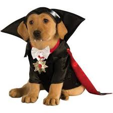 Doggy Costumes Panosundaki Pin