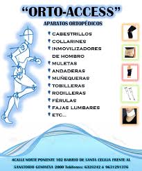 ORTO-ACCESS