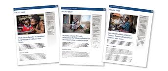 Putting those all together makes a summary. How To Write A Policy Brief Idrc International Development Research Centre
