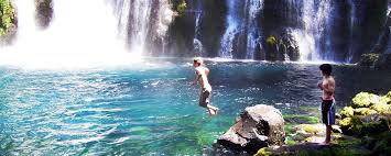 Browse our guide to the best family camping spots in california. Summer Camping Activities In California Mountain Meadow