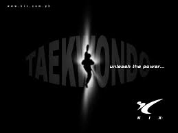 Download these wallpaper desktop background images in hd resolution for free. Wallpaper Unleash The Power Taekwondo Wallpaper Turkeycheezers Flickr
