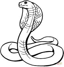 Dibujo Serpiente Para Colorear