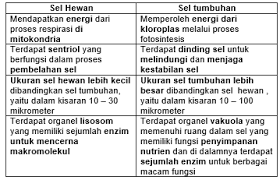 Sebagai makhluk hidup hewan dan tumbuhan memiliki beberapa persamaan dan beberapa perbedaan. Jelaskan Perbedaan Sel Hewan Dan Sel Tumbuhan