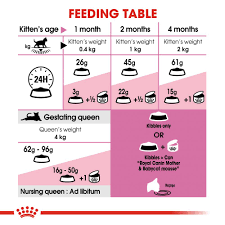 Royal Canin Mother Babycat Adult Kitten Food