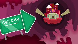 Cells, the basic units of life, is often compared to a pizza parlor, a factory, or even an entire city. Cell City Youtube