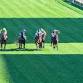 Warwick Farm Midweek event image