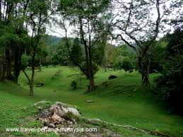 Explore an array of taman botani tropical botanical gardens, putrajaya vacation rentals, including apartment and condo rentals, studio vacation rentals & more bookable online. Penang Botanic Gardens Taman Botani Pulau Pinang