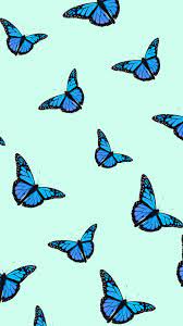 See more ideas about blue aesthetic, aesthetic iphone wallpaper, blue wallpaper iphone. Iphone Aesthetic Tumblr Iphone Blue Butterfly Wallpaper