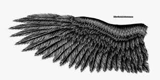 Eagle Wings Png Image Black Eagle Wings Transparent Png Is Free Transparent Png Image To Explore More Similar Hd Image On Wings Png Eagle Wings Black Eagle