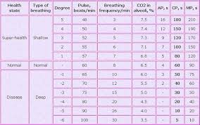 particular breaths per minute chart respiratory tract flow