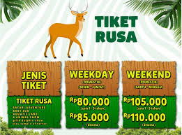 Promo taman safari dengan kartu kredit. Cara Mendapatkan Tiket Taman Safari Prigen Murah Meskipun Weekend