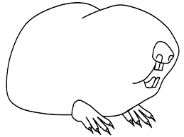 Have fun discovering pictures to print and drawings to color. Mole Rat Colouring Page Coloring Home