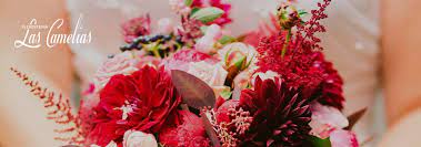 Maybe you would like to learn more about one of these? Floristerias En Alcorcon Las Camelias Arte Floral