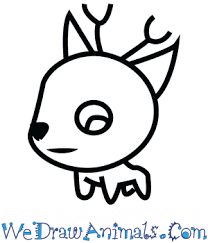 How to draw step by step. How To Draw A Cute Deer
