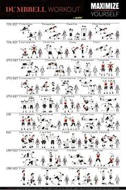Ejercicio sets/reps sentadilla búlgara (enfocada a cuádriceps) 1x15/1x12/1x10/1x8 (1 min y medio descanso) hip thrust con mancuerna/puentes con. Rutina Ejercicios Con Mancuernas En Casa Mancuernas