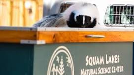 Live Animal Show, Animal Encounter Series