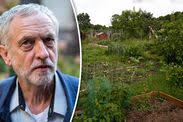 London Allotment: Protesters fight plans to build houses