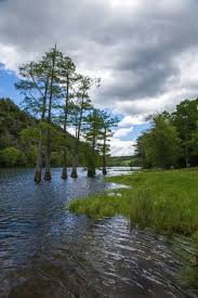 Hotels, apartments, villas, hostels, resorts, b&bs 10 Local Mom Owned Broken Bow Cabins Places To Eat Things To Do