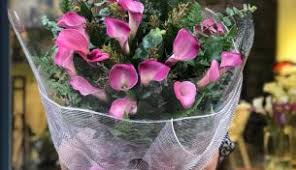 Những năm gần đây, nhiều người ở đây còn thuê đất các vùng. Hoa Rum Tráº¯ng Hoa Viá»‡t Phap