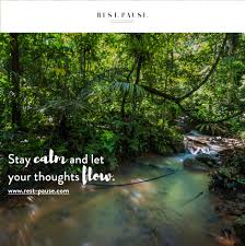 The setup was basic but comfy. Rest Pause Rainforest Retreat Enjoy A Moment Of Tranquility With Us Stay Calm Slow Down And Take Each Conscious Breath With Gratitude Stay Home Stay Healthy Stayathome Letsdothis Restpauserainforestretreat Facebook