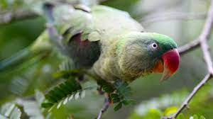 See full list on th.wikipedia.org Nylcn3t7rbcw8m