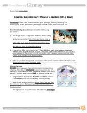 Allele, dna, dominant allele, gene, genotype, heredity, heterozygous, homozygous, hybrid, inheritance, phenotype, punnett square, recessive allele, trait prior knowledge questions (do these before using the gizmo.) [note: Mouse Genetics Gizmo Exploration Guide Docx Name Date Student Exploration Mouse Genetics One Trait Vocabulary Allele Dna Dominant Allele Gene Genotype Course Hero