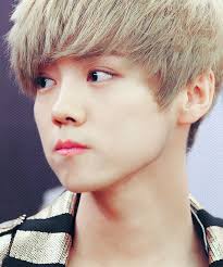 Image result for foto member luhan exo